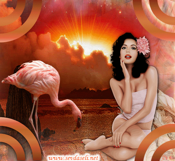 http://img4.dreamies.de/img/136/b/5rprpcrhpf.gif